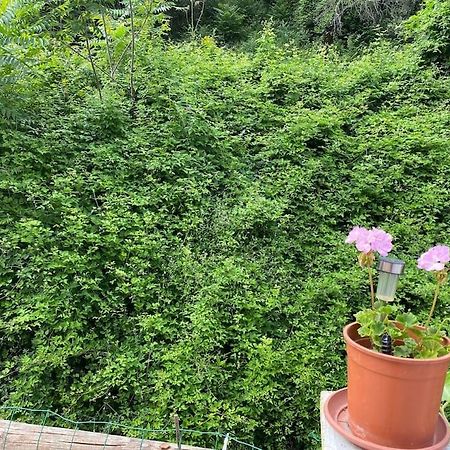 Villa Serenice - F2 Au Calme, Climatise, Wifi Et Parking Gratuit Exterior foto